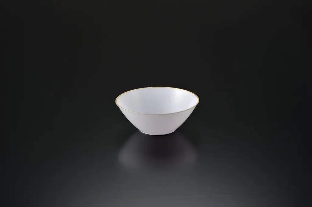 270mm Heavy Duty Salad Bowl White w/Gold or Silver Rim Pk1