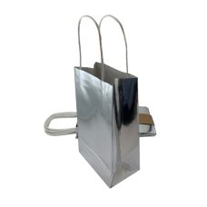 PARTYBAG PAPER MET SILVER PK5
