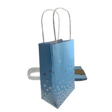 PARTYBAG PAPER BLUE & SLVR PK5