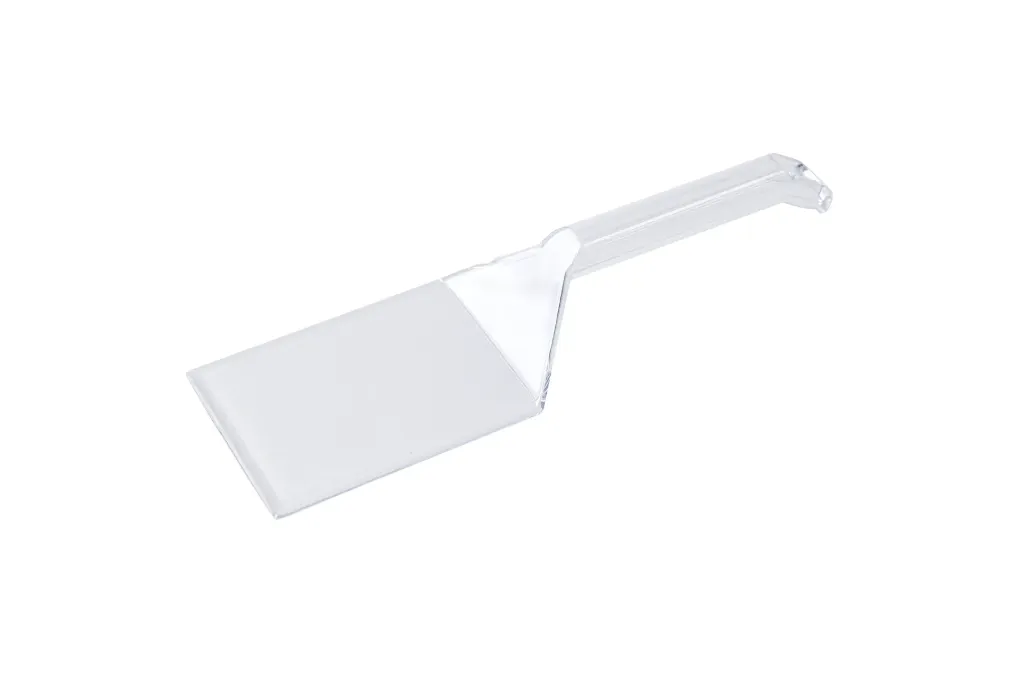 245mm Clear Food Server Pk2 