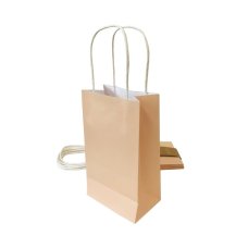 [465844] PARTYBAG PAPER PAS PEACH PK5